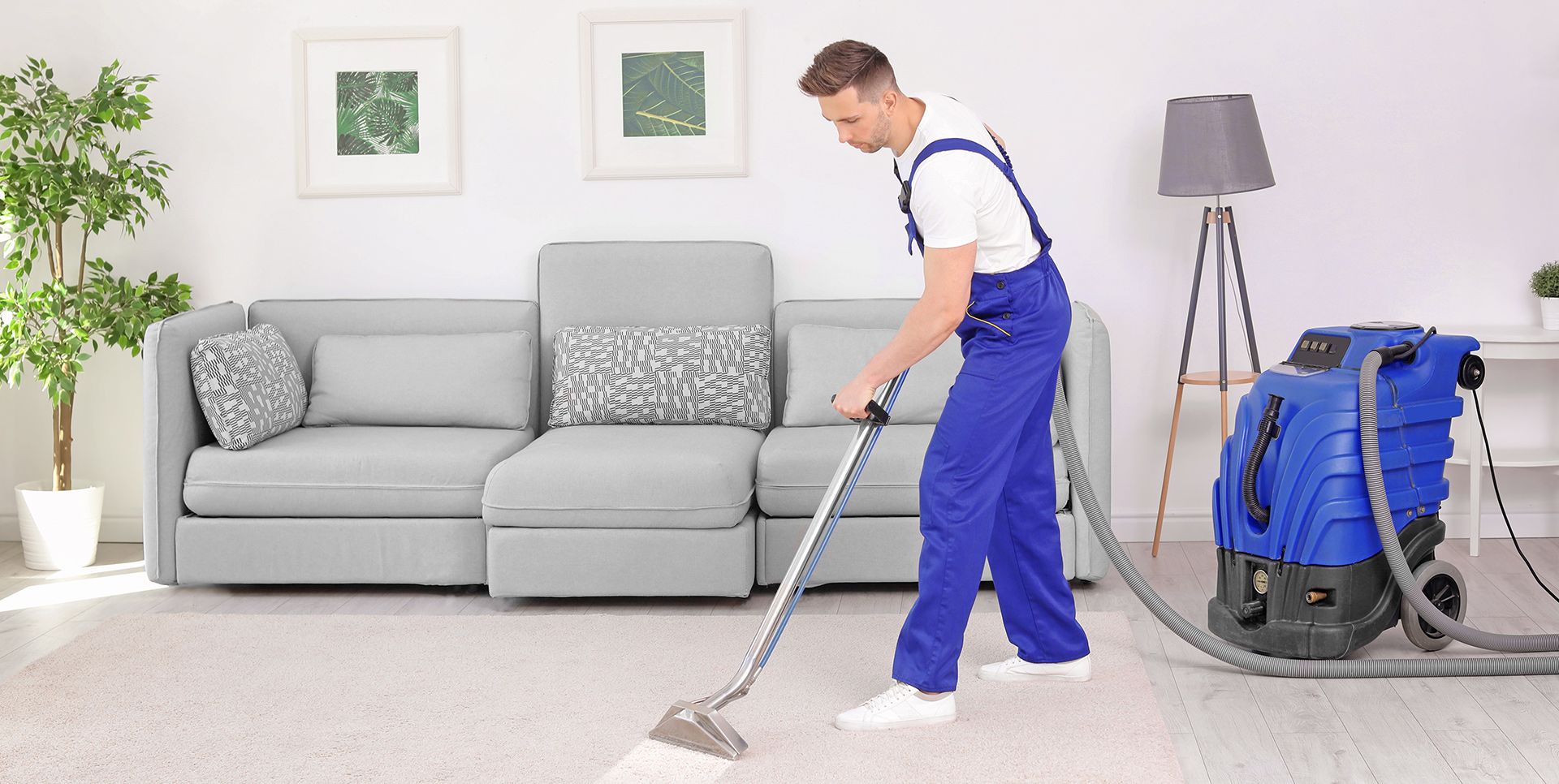 Carpet & Upholstery Cleaning